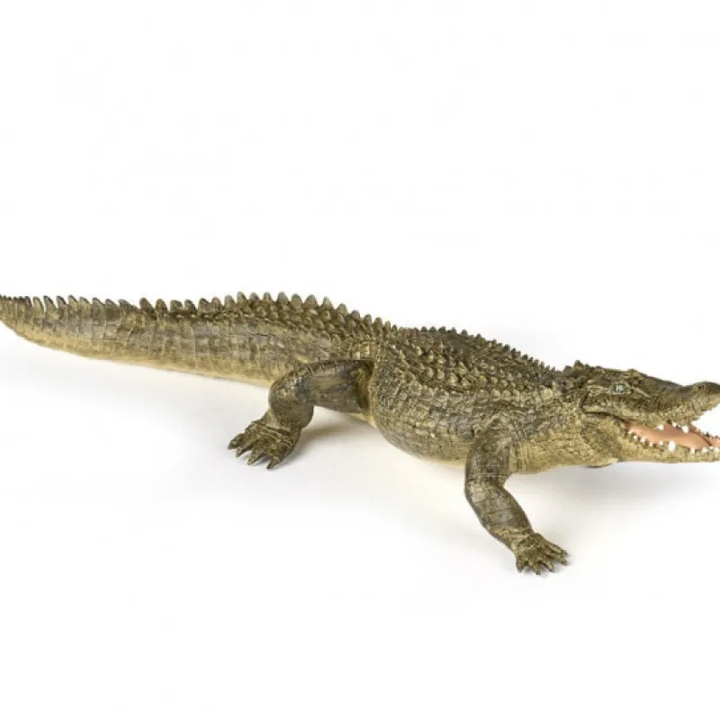 Papo Alligator, figurine 50254< Figurines Papo | Ferme En Bois, Centre Équestre Et Zoo