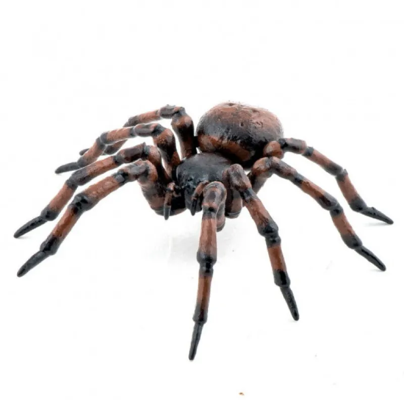 Papo Araignée commune figurine 50292< Figurines Papo