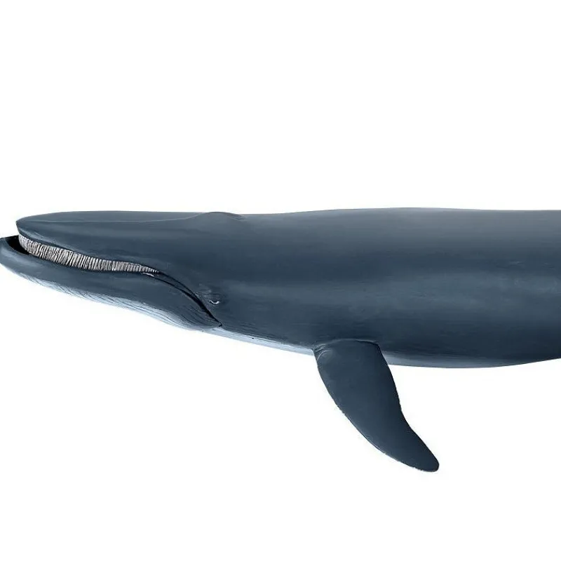 Papo Baleine bleue, figurine 56037< Figurines Papo