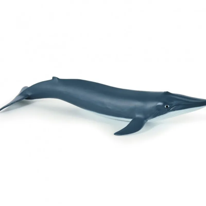 Papo Bébé baleine bleue, figurine 56041< Figurines Papo