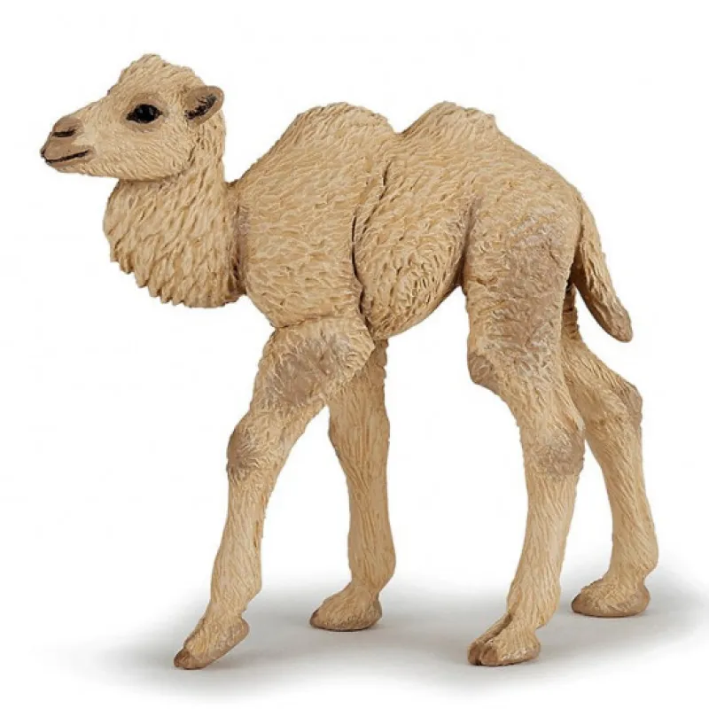 Papo Bébé chameau, figurine 50221< Figurines Papo | Ferme En Bois, Centre Équestre Et Zoo