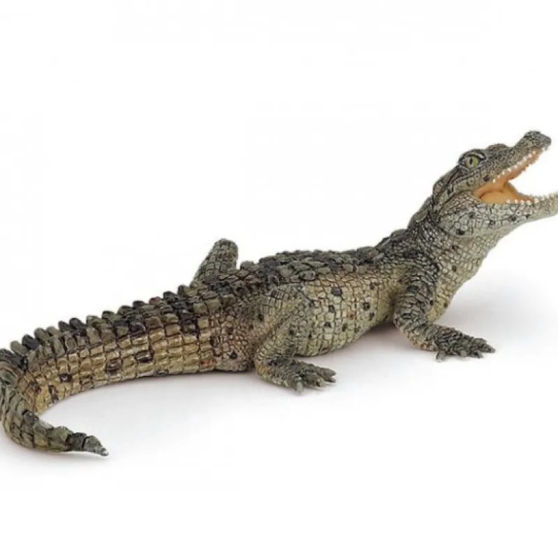 Papo Bébé crocodile 50137< Figurines Papo | Ferme En Bois, Centre Équestre Et Zoo