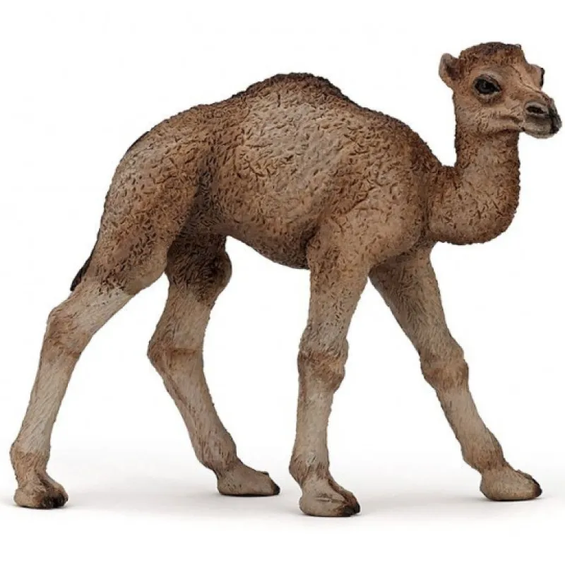 Papo Bébé dromadaire 50166< Figurines Papo | Ferme En Bois, Centre Équestre Et Zoo