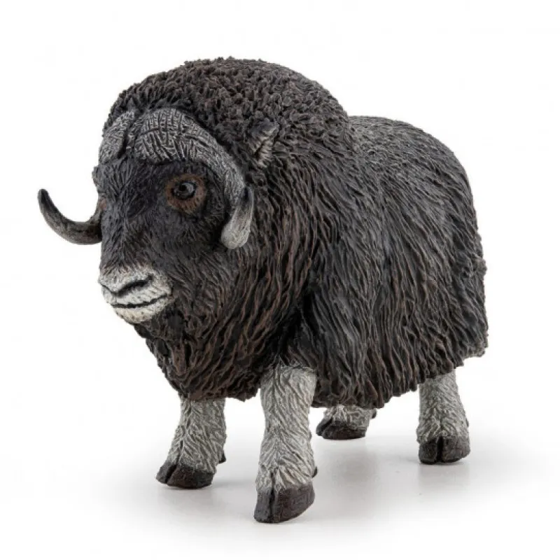 Papo Boeuf musqué, figurine 50308< Figurines Papo | Ferme En Bois, Centre Équestre Et Zoo
