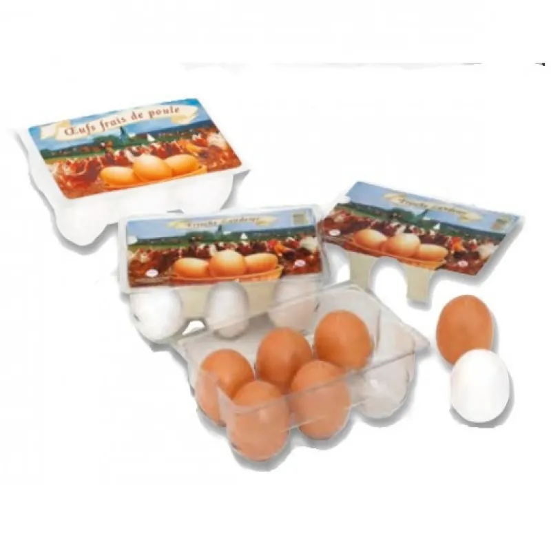 Polly Boîte de 6 oeufs 6607< Jouets Cuisine, Dînette