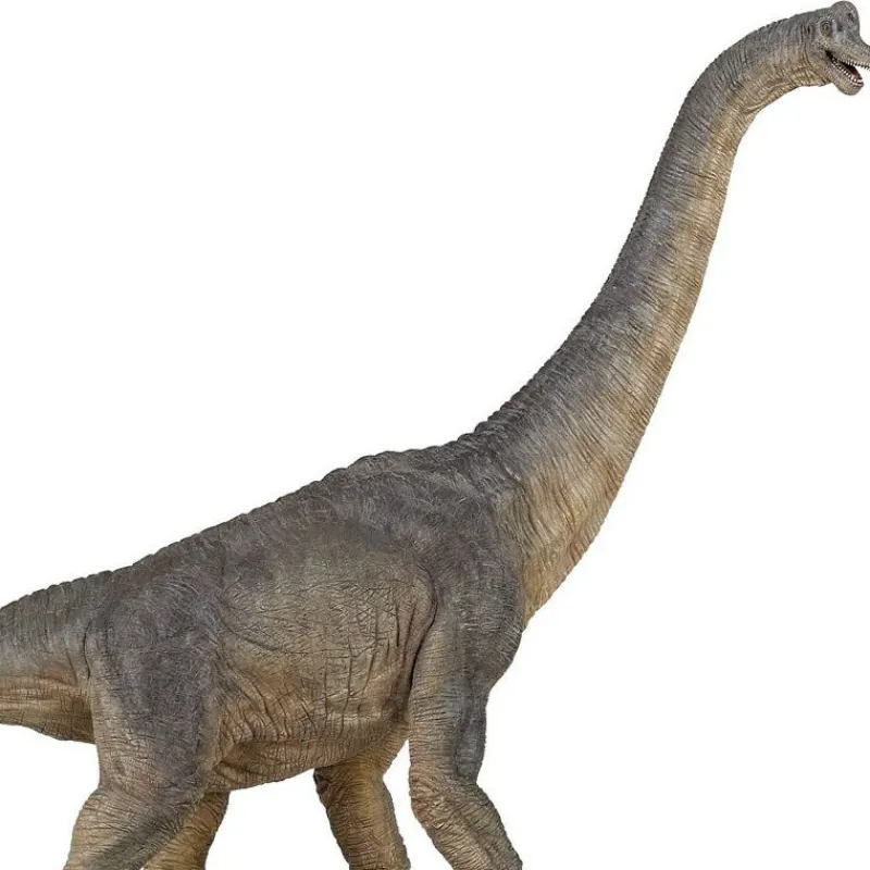 Papo Brachiosaure 55030< Figurines Papo