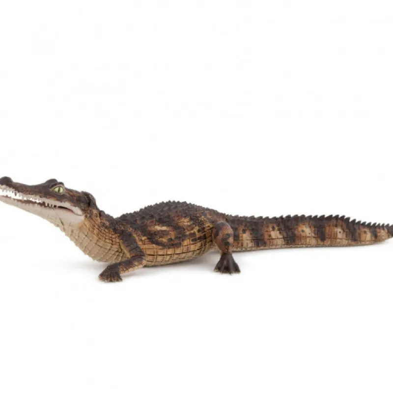 Papo Caïman, figurine 50311< Figurines Papo | Ferme En Bois, Centre Équestre Et Zoo