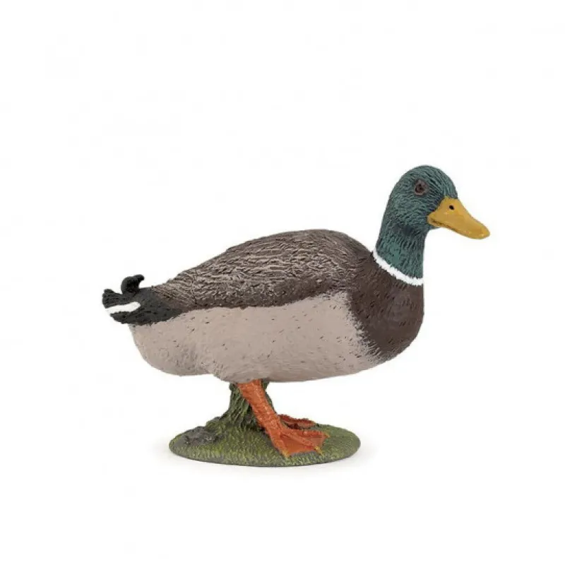 Papo canard colvert 51155< Figurines Papo | Ferme En Bois, Centre Équestre Et Zoo