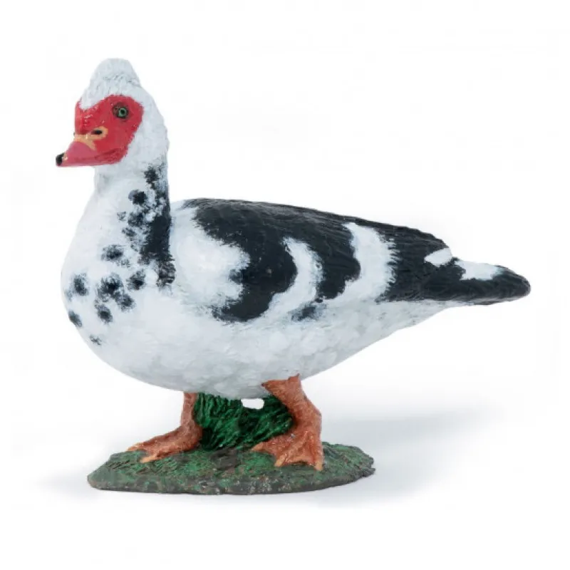 Papo Canard de Barbarie, figurine 51189< Figurines Papo | Ferme En Bois, Centre Équestre Et Zoo