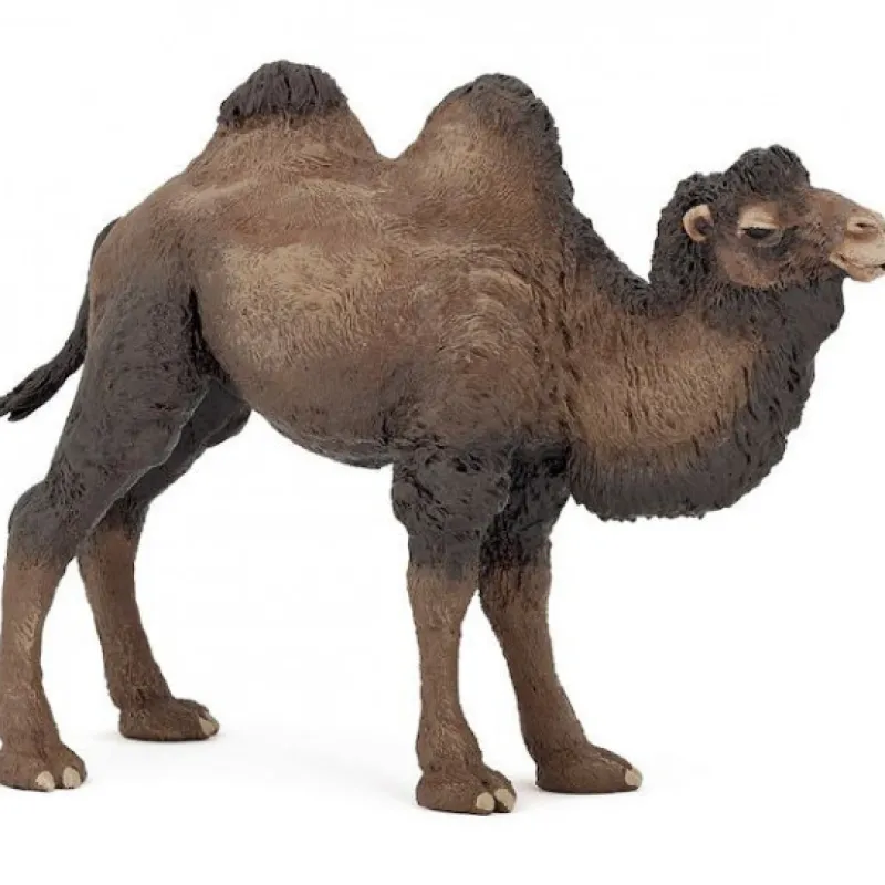 Papo Chameau de Bactriane 50129< Figurines Papo | Ferme En Bois, Centre Équestre Et Zoo