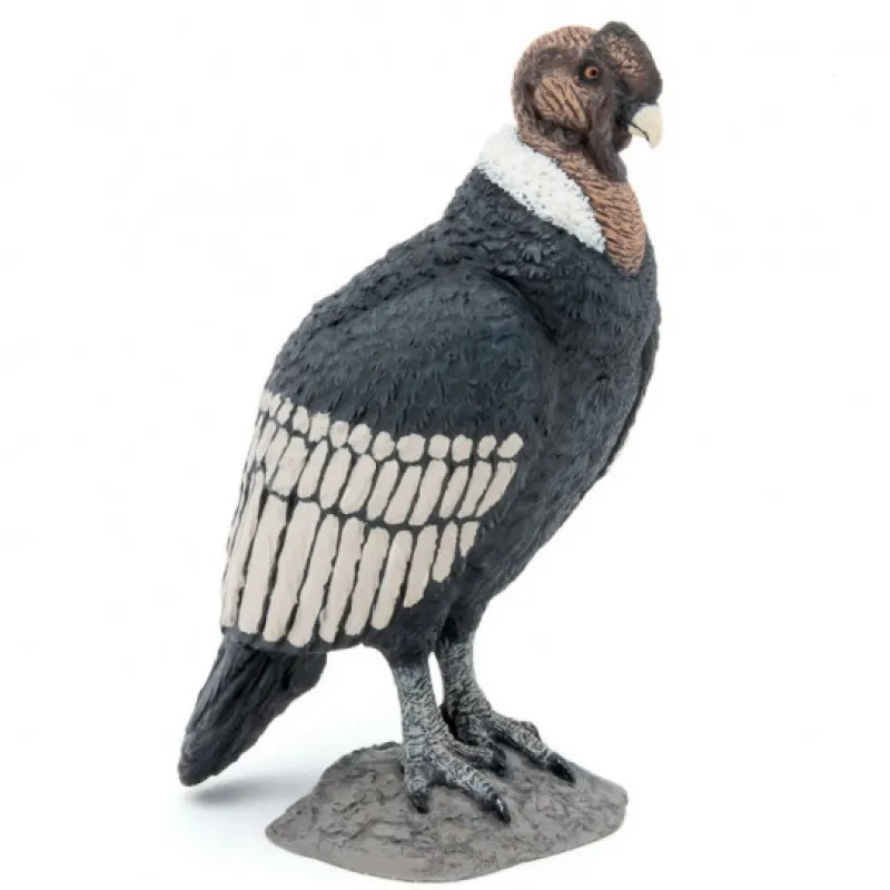 Papo Condor des Andes, figurine 50293< Figurines Papo | Ferme En Bois, Centre Équestre Et Zoo