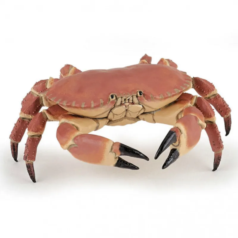 Papo Crabe, figurine 56047< Figurines Papo