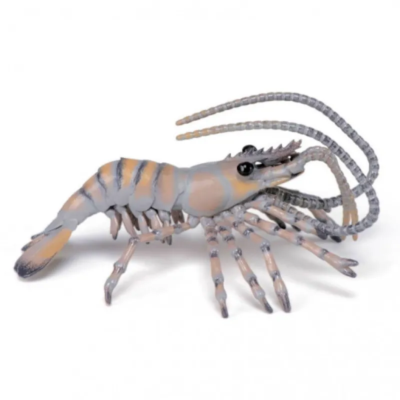 Papo Crevette, figurine 56053< Figurines Papo
