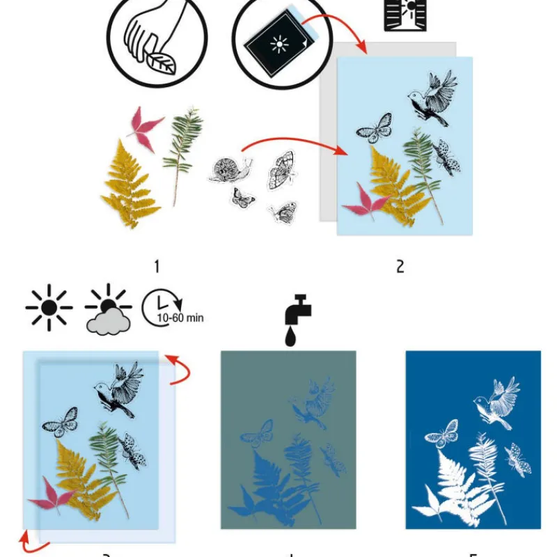Djeco Cyanotype - kit d'initiation 9339<Enfant Bricolage Enfant | Dessin, Peinture, Coloriage
