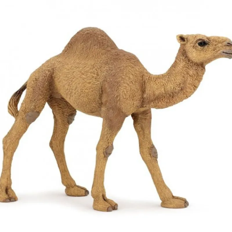 Papo Dromadaire 50151< Figurines Papo | Ferme En Bois, Centre Équestre Et Zoo