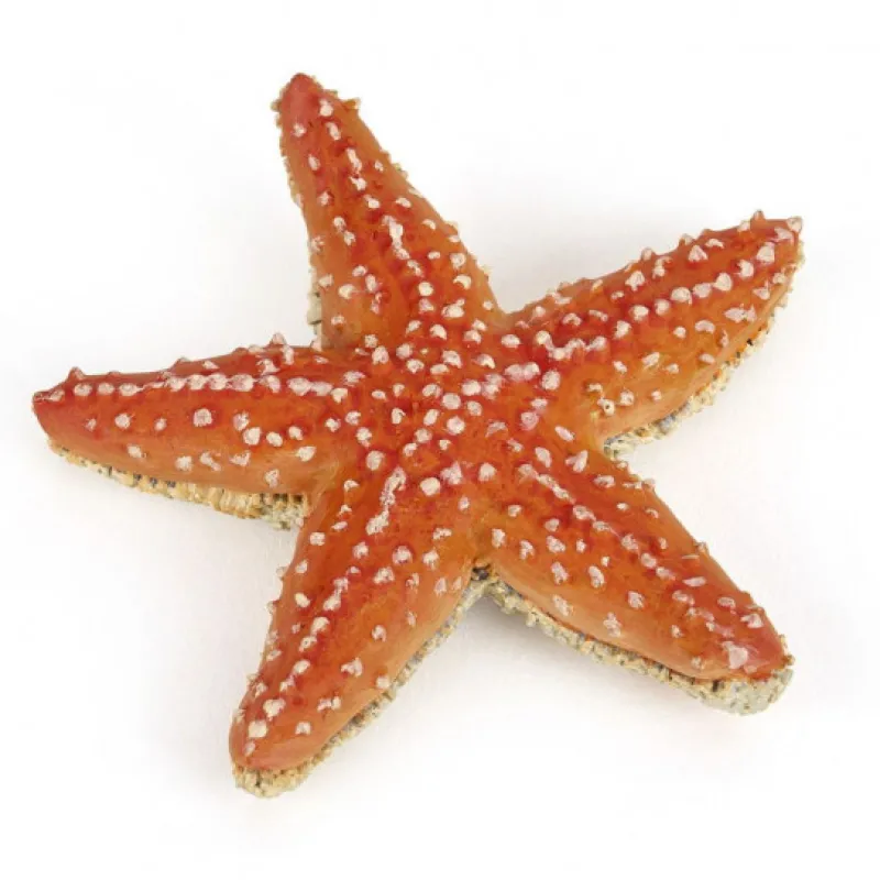 Papo Etoile de mer, figurine 56050< Figurines Papo