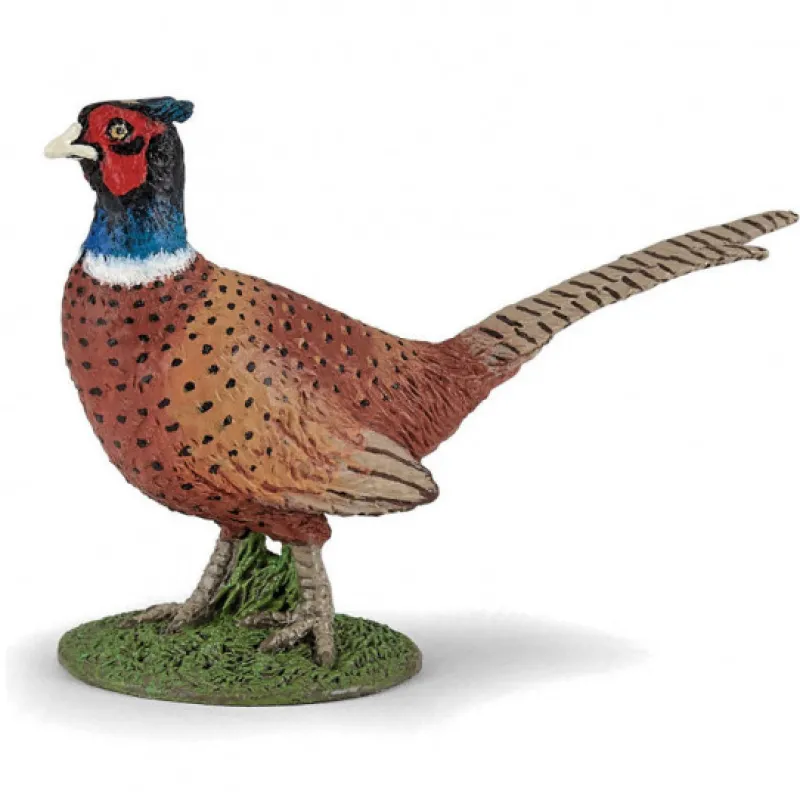 Papo Faisan, figurine 50263< Figurines Papo