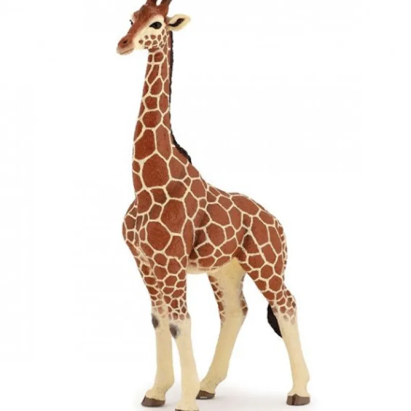 Papo Girafe mâle 50149< Figurines Papo | Ferme En Bois, Centre Équestre Et Zoo