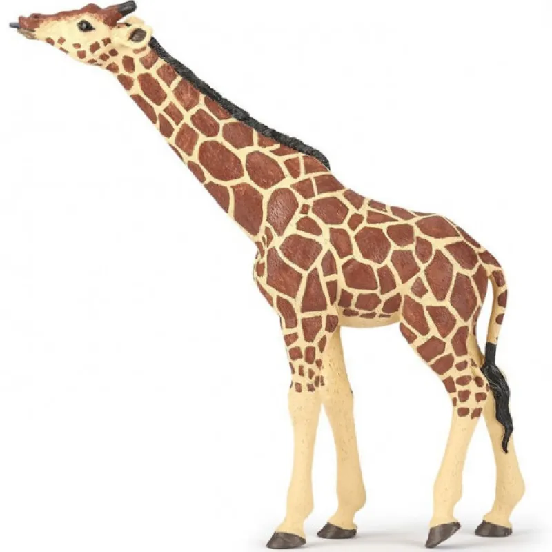 Papo Girafe tête levée, figurine 50236< Ferme En Bois, Centre Équestre Et Zoo | Figurines Papo