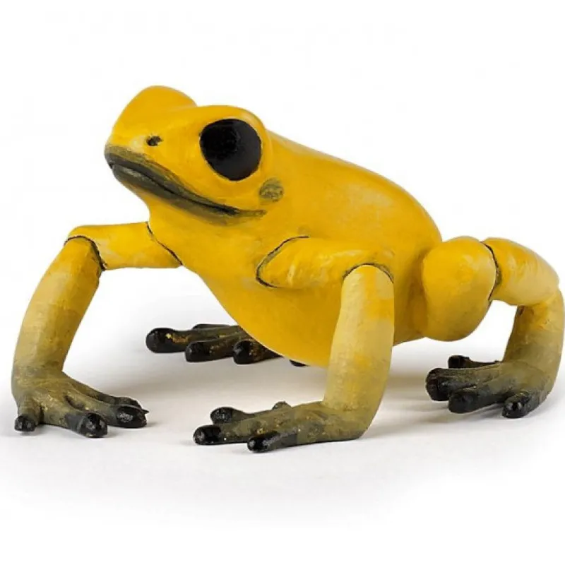 Papo Grenouille équatoriale jaune, figurine 50174< Figurines Papo