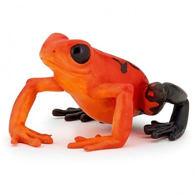 Papo Grenouille équatoriale rouge, figurine 50193< Figurines Papo