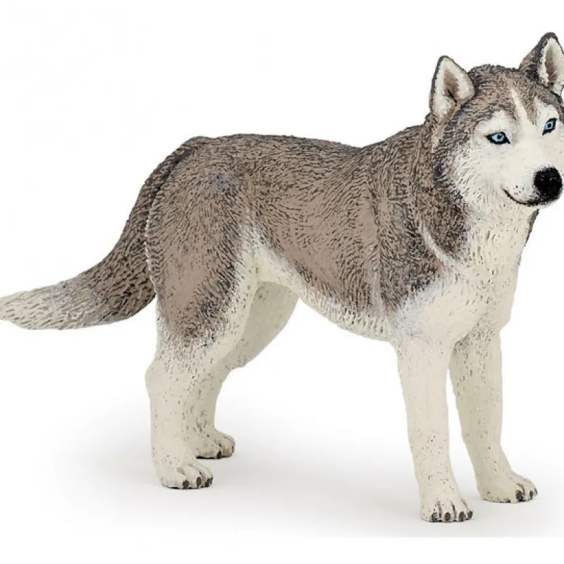 Papo Husky de Sibérie, figurine 54035< Figurines Papo