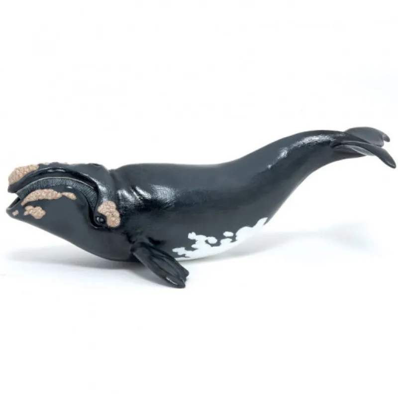 Papo Jeune baleine franche de l'Atlantique nord, figurine 56057< Figurines Papo