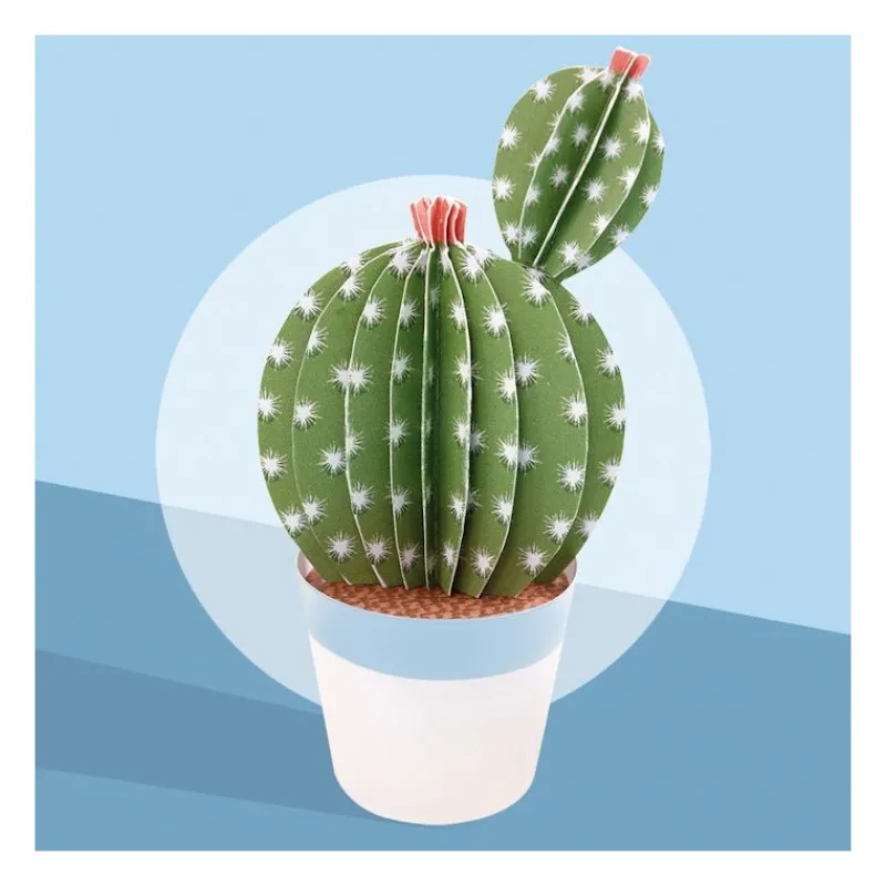 Sophie et Martin Les petits cactus, maquettes en papier ''<Enfant Jeux Et Loisirs Créatifs Fabriqués En France | Paper Toys