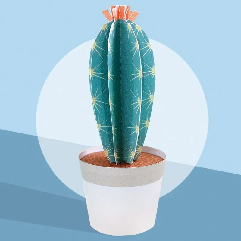 Sophie et Martin Les petits cactus, maquettes en papier ''<Enfant Jeux Et Loisirs Créatifs Fabriqués En France | Paper Toys