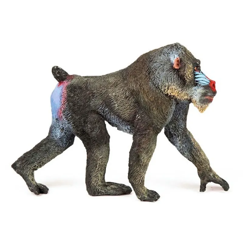 Papo Mandrill, figurine 50121< Figurines Papo | Ferme En Bois, Centre Équestre Et Zoo