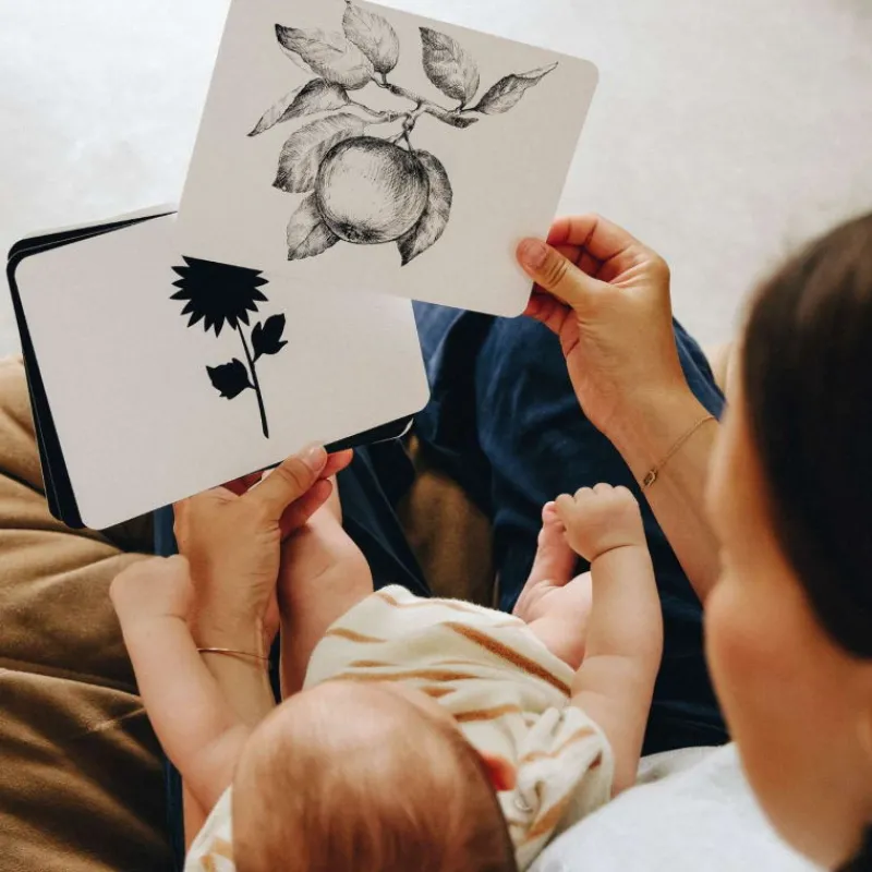 Observe Montessori Mondy des p'tits artistes< Jeux De Société | Jouets D'éveil, Hochets