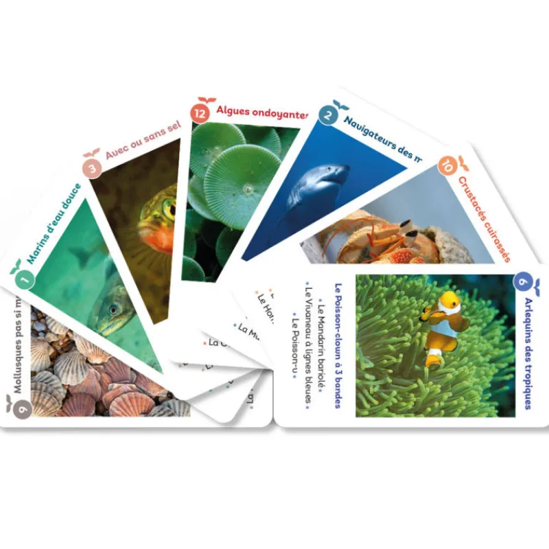 Jeux Sylvie de Soye O les poissons ! et autres merveilles, jeu de 12 familles Sylvie de Soye< Jeux Et Loisirs Créatifs Fabriqués En France | Jeux De Société