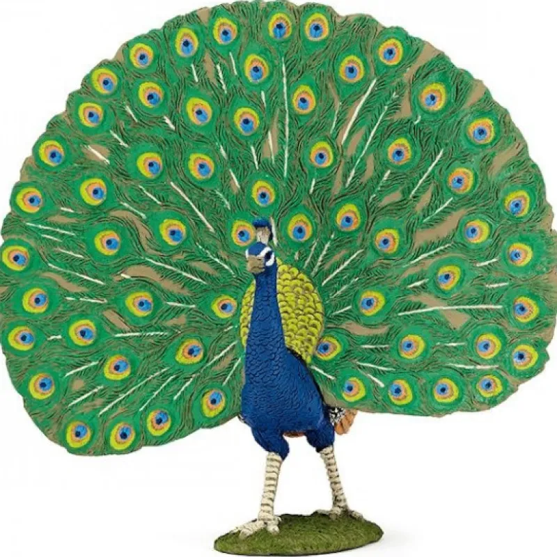 Papo Paon 51161< Figurines Papo | Ferme En Bois, Centre Équestre Et Zoo