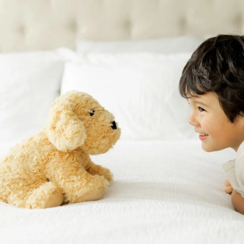 WARMIES Peluche bouillotte Chien bouclé Cozy Soframar< Poupées, Peluches | Peluches Naissance, Doudous
