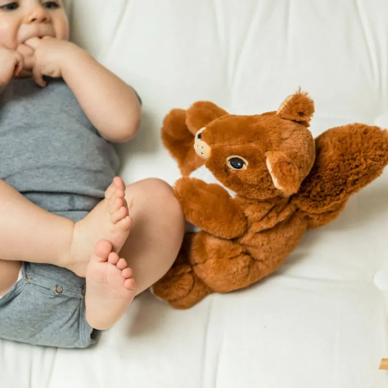 WARMIES Peluche bouillotte Ecureuil Cozy< Poupées, Peluches | Peluches Naissance, Doudous