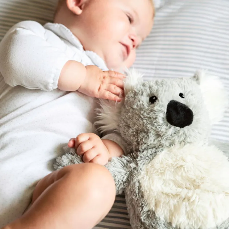 WARMIES Peluche bouillotte Koala Cozy Soframar< Poupées, Peluches | Peluches Naissance, Doudous