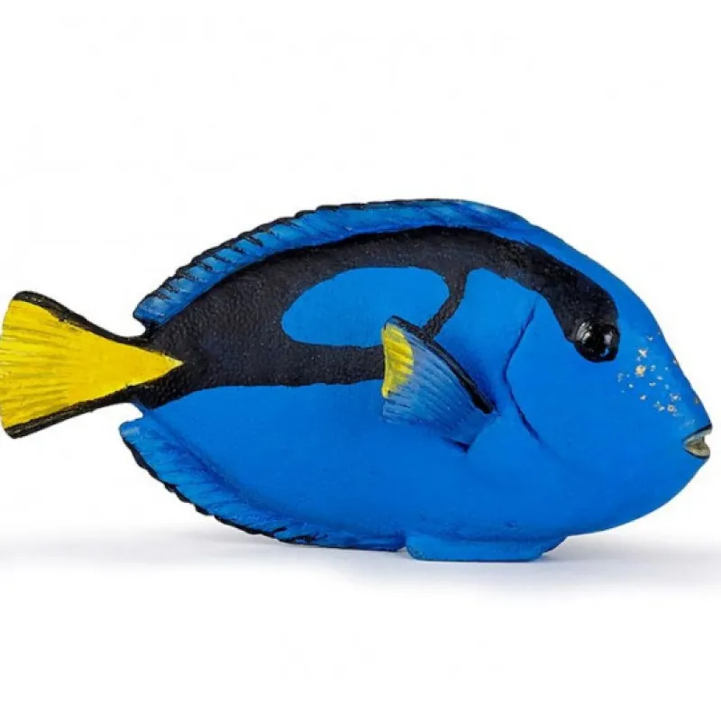 Papo Poisson-chirurgien, figurine 56024< Figurines Papo