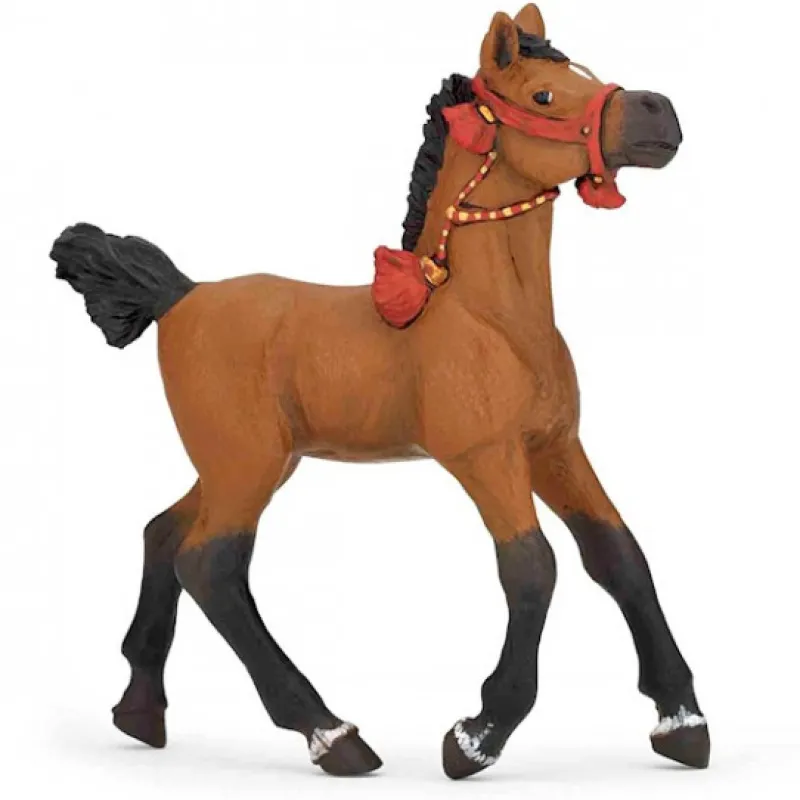 Papo Poulain arabe en tenue de parade, 51548< Figurines Papo | Ferme En Bois, Centre Équestre Et Zoo