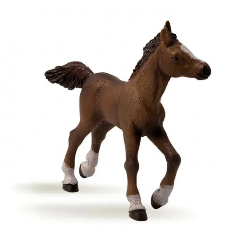 Papo Poulain arabe, 51076< Figurines Papo | Ferme En Bois, Centre Équestre Et Zoo