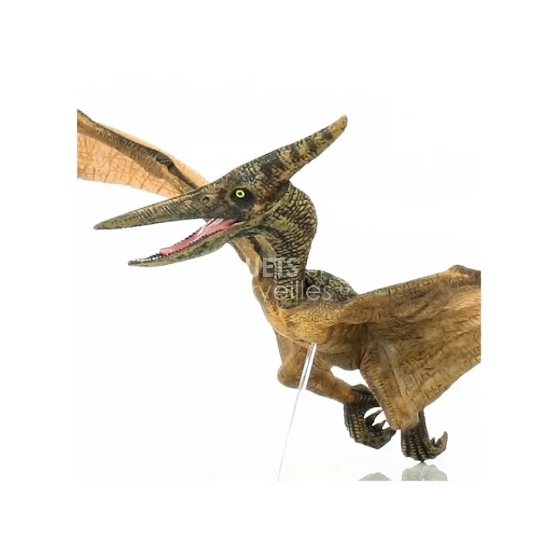 Papo Ptéranodon, dinosaure 55006< Figurines Papo