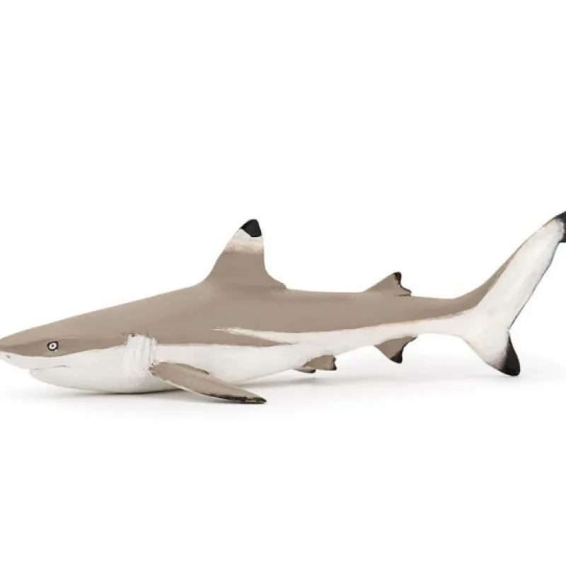 Papo Requin à pointes noires, figurine 56034< Figurines Papo | Ferme En Bois, Centre Équestre Et Zoo