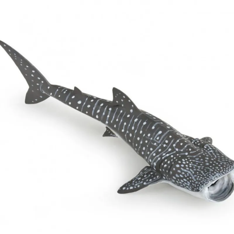 Papo Requin baleine, figurine 56039< Figurines Papo