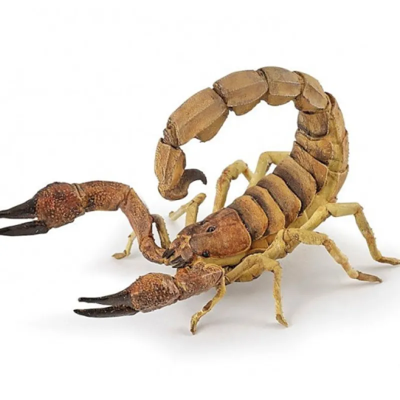 Papo Scorpion, figurine 50209< Figurines Papo | Ferme En Bois, Centre Équestre Et Zoo