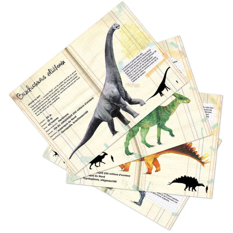 VILAC Set de 21 magnets dinosaures Muséum national Histoire naturelle 9623< Jeux De Société