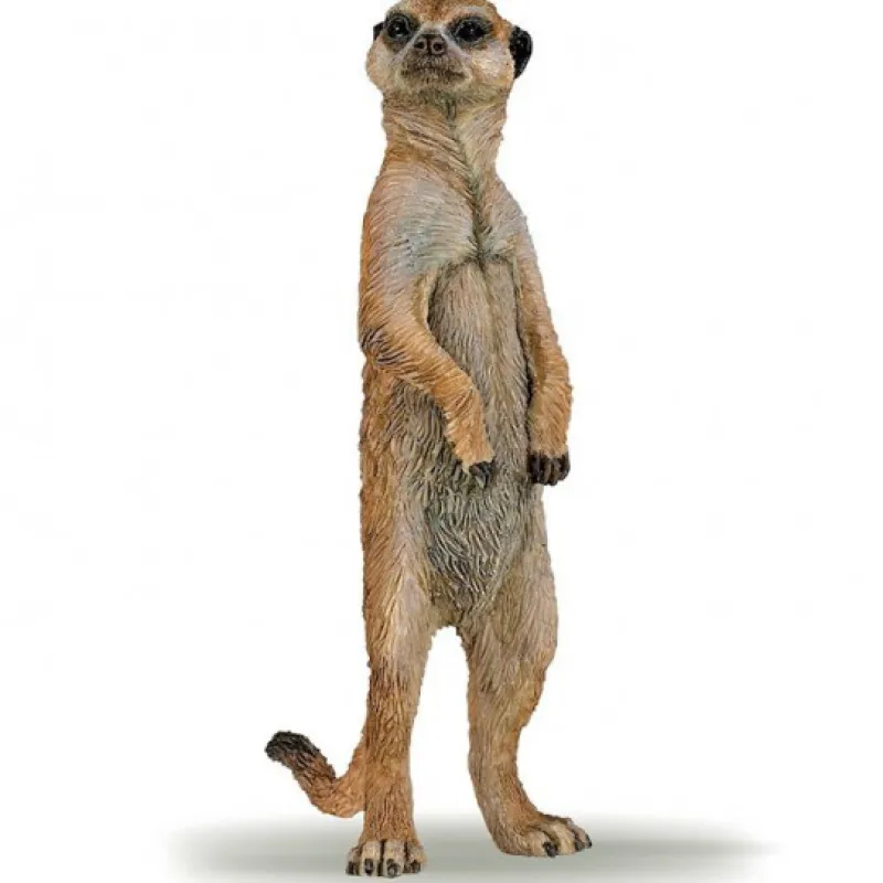 Papo Suricate debout, figurine 50206< Figurines Papo | Ferme En Bois, Centre Équestre Et Zoo