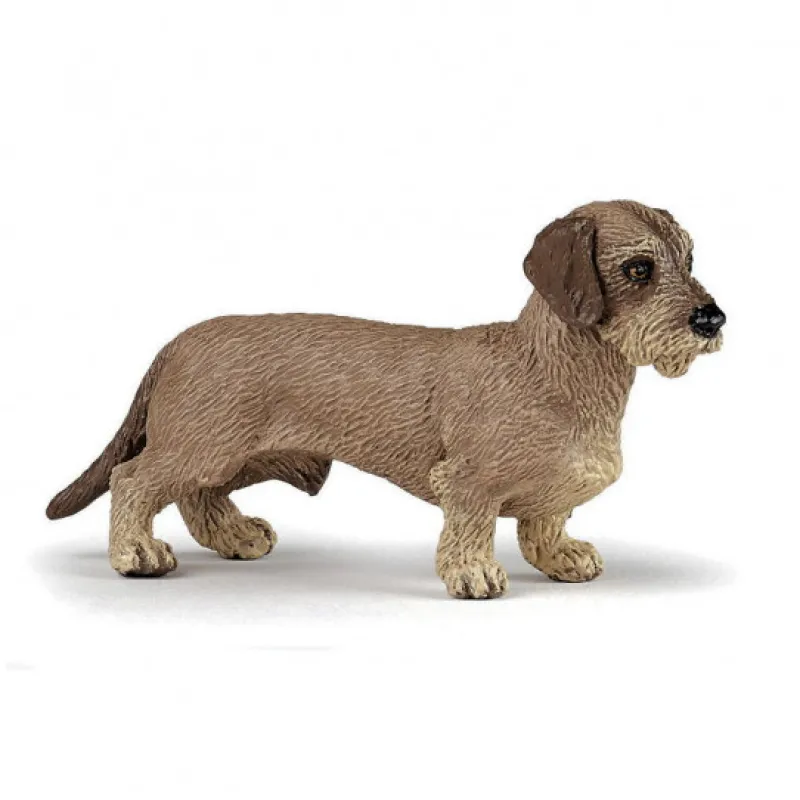 Papo Teckel, figurine 54043< Figurines Papo