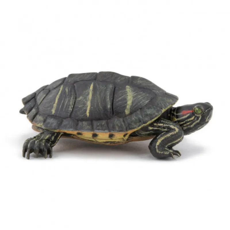 Papo Tortue de Floride, figurine 50309< Figurines Papo | Ferme En Bois, Centre Équestre Et Zoo