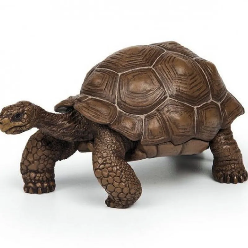Papo Tortue des Galapagos 50161< Figurines Papo | Ferme En Bois, Centre Équestre Et Zoo