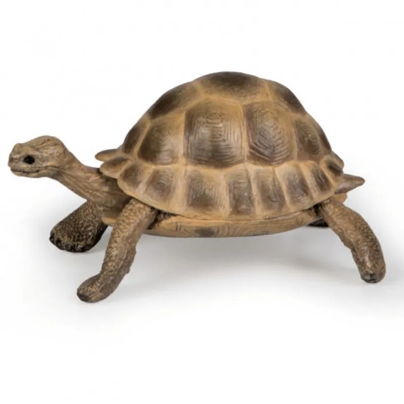 Papo Tortue d'Hermann, figurine 50264< Figurines Papo | Ferme En Bois, Centre Équestre Et Zoo