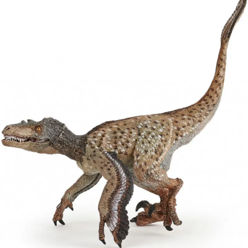 Papo Vélociraptor à plumes, dinosaure 55086< Figurines Papo
